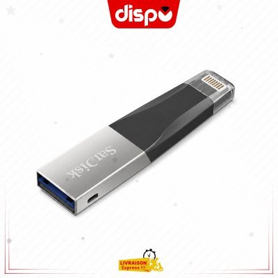 Clé USB SanDisk iXpand Mini Flash Drive 128 Go
