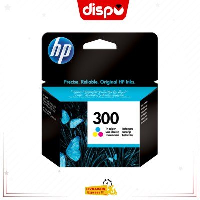 Cartouche d'Encre HP 300 Tricolore Originale (CC643EE)