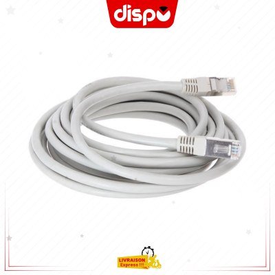 Câble Réseau UTP Cat6 10m