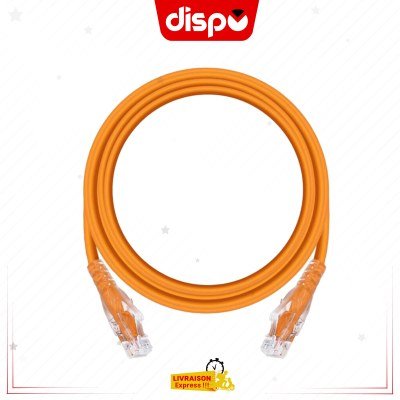 Câble Nexans FTP Cat 6 1 m : un choix technique incontournable