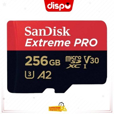 Carte Mémoire Micro SD SanDisk Extreme PRO 256 Go