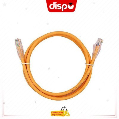Câble Nexans 2m FTP CAT 6 2m : Votre Allié Réseau