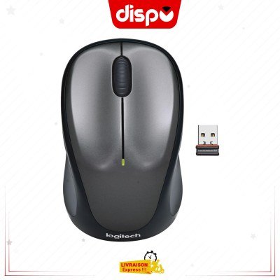 Souris Sans Fil Logitech M235 Souris Sans Fil, 2.4GHz avec Récepteur USB