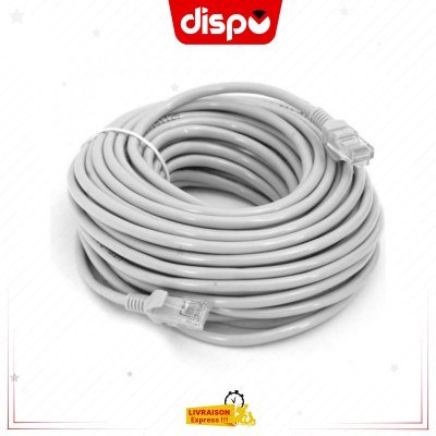 Câble Réseau UTP LAN Cat6 15 m