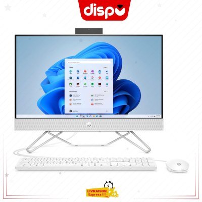 Ordinateur All-in-One HP 24-DF1063NY 8Go 1To HDD 11E GEN 23,8″