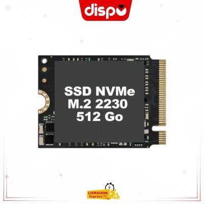 Disque Dur SSD 512 Go M.2 2230