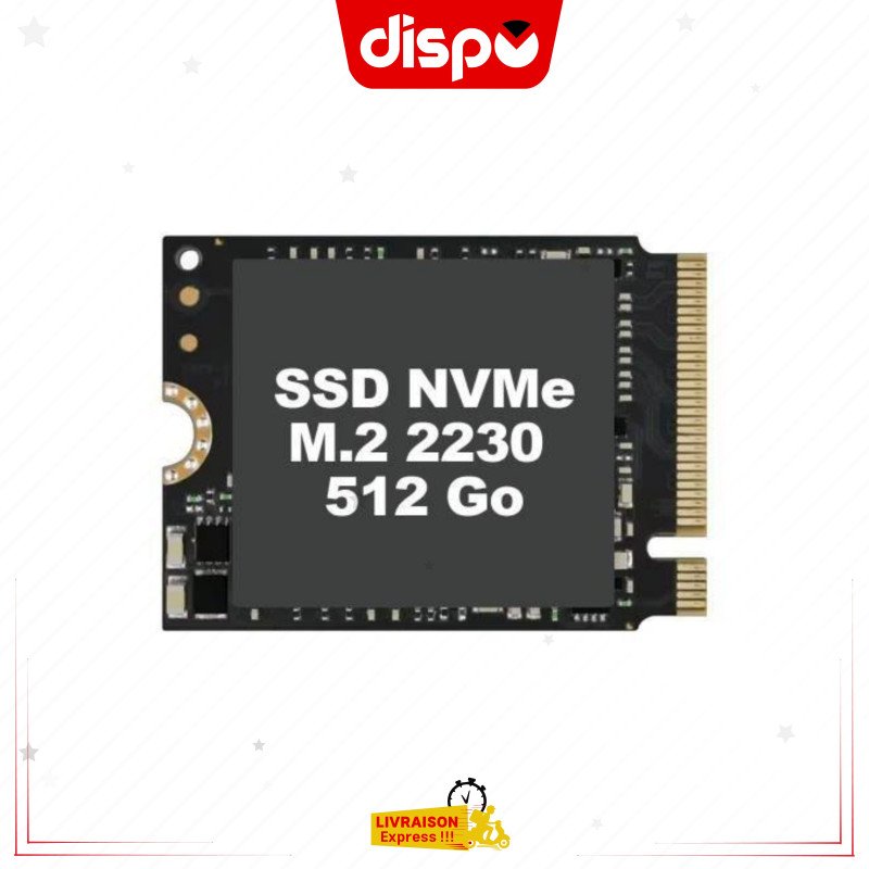 Disque Dur SSD 512 Go M.2 2230