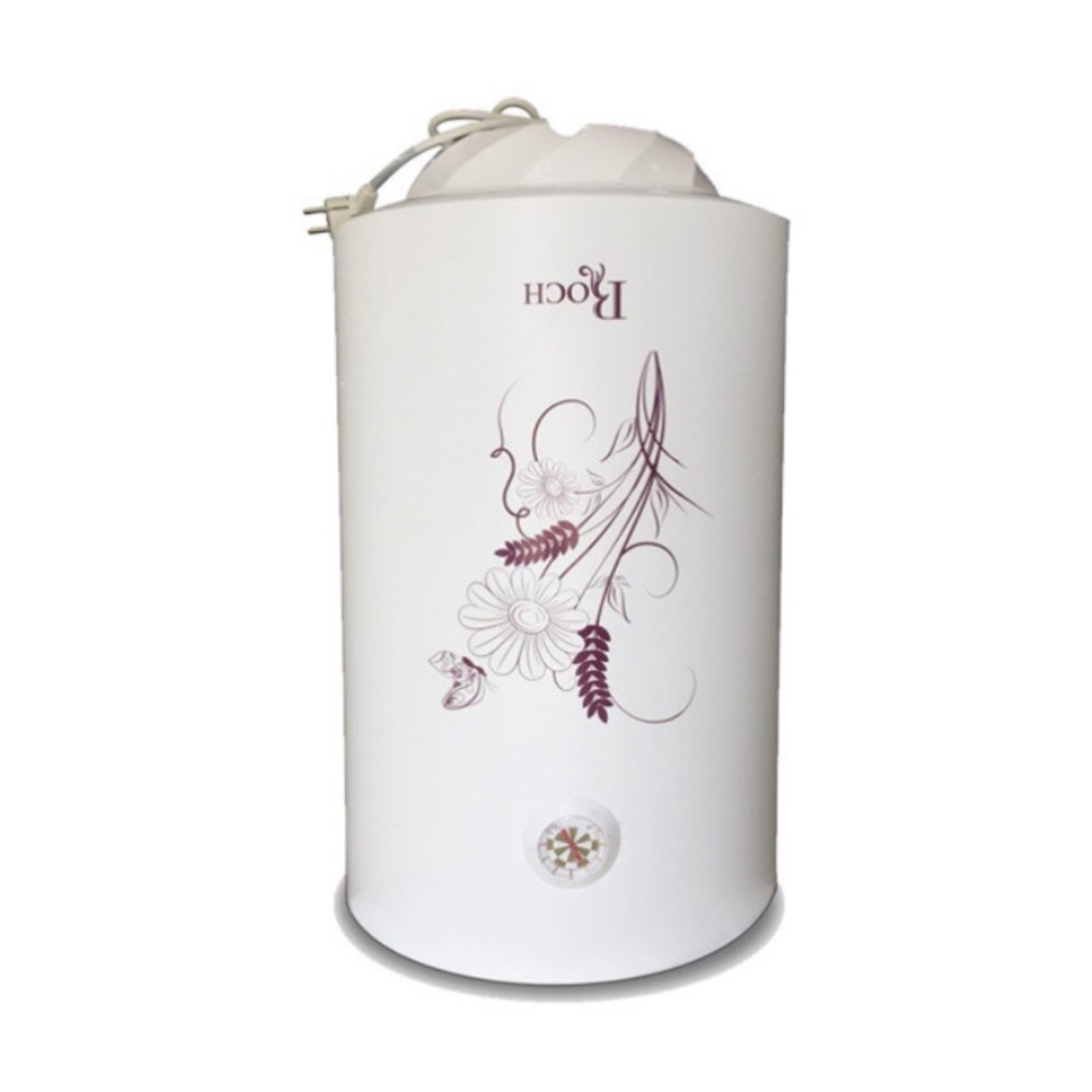 Chauffe eau 50L Roch installé Chauffe eau Roch installé